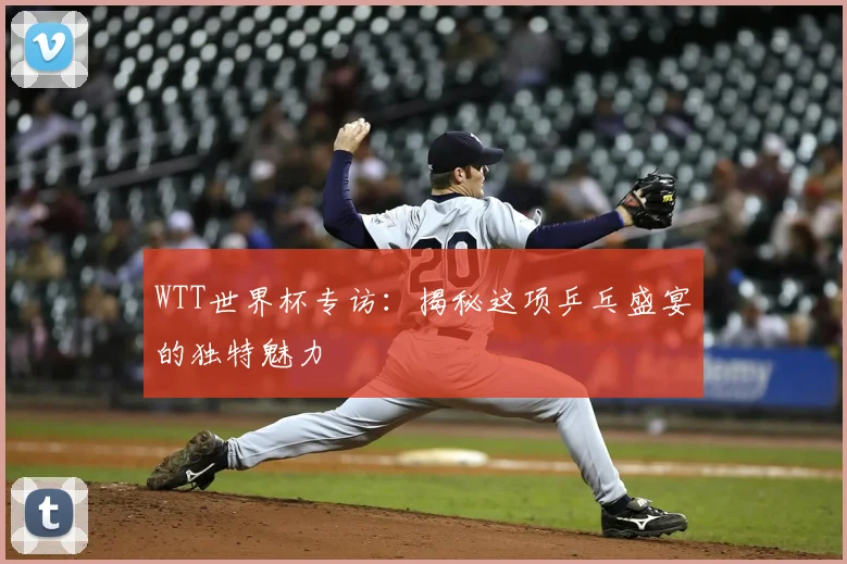WTT世界杯专访:揭秘这项乒乓盛宴的独特魅力