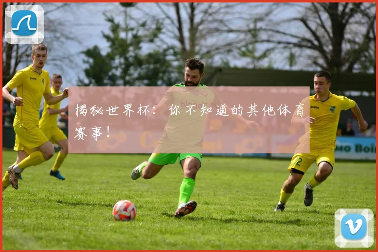 揭秘世界杯：你不知道的其他体育赛事！