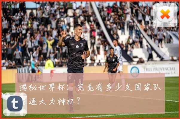 揭秘世界杯：究竟有多少支国家队角逐大力神杯？