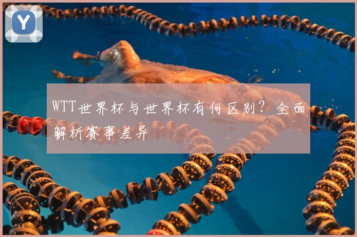 WTT世界杯与世界杯有何区别?全面解析赛事差异