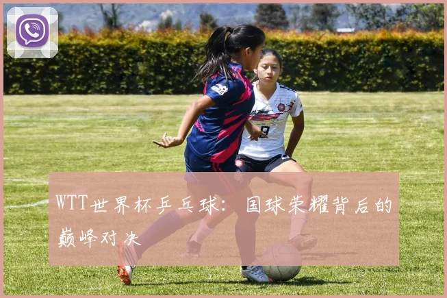 WTT世界杯乒乓球:国球荣耀背后的巅峰对决