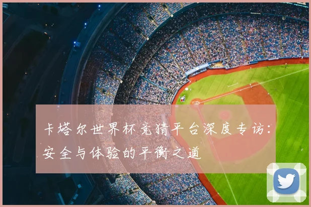 卡塔尔世界杯竞猜平台深度专访：安全与体验的平衡之道