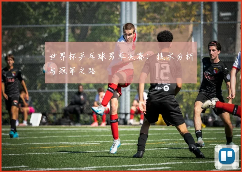 世界杯乒乓球男单决赛:技术分析与冠军之路