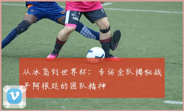 从冰岛到世界杯：专访全队揭秘战平阿根廷的团队精神