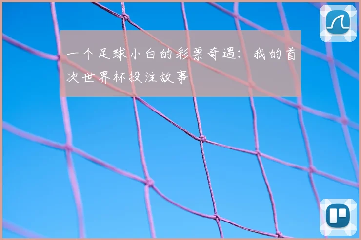 一个足球小白的彩票奇遇:我的首次世界杯投注故事