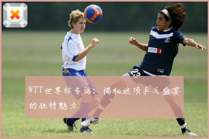 WTT世界杯专访:揭秘这项乒乓盛宴的独特魅力