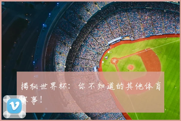 揭秘世界杯：你不知道的其他体育赛事！