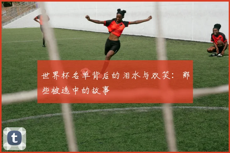 世界杯名单背后的泪水与欢笑：那些被选中的故事