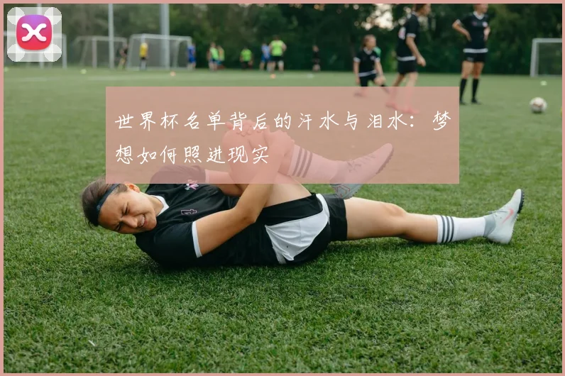 世界杯名单背后的汗水与泪水:梦想如何照进现实