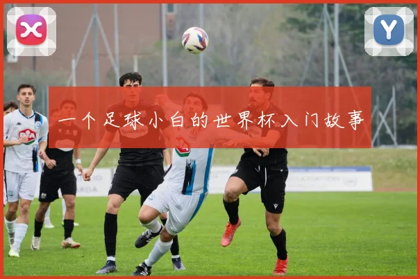 一个足球小白的世界杯入门故事