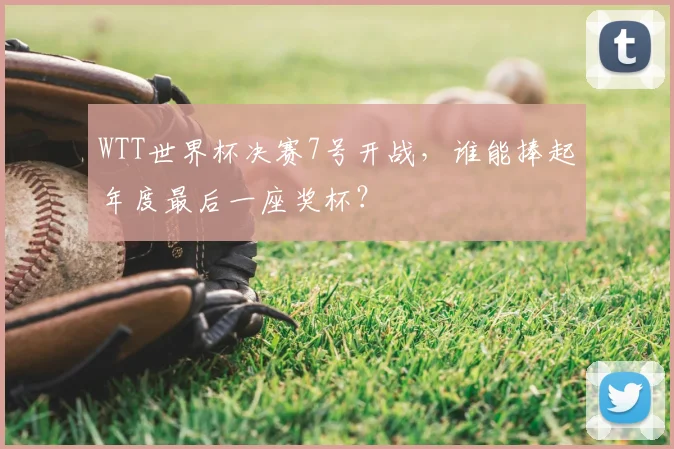 WTT世界杯决赛7号开战，谁能捧起年度最后一座奖杯？