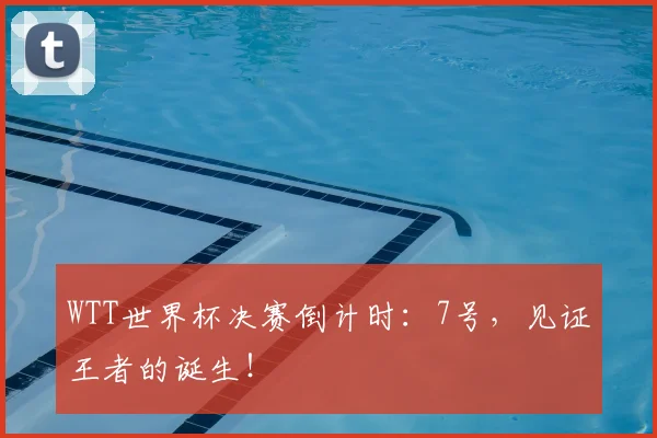 WTT世界杯决赛倒计时:7号,见证王者的诞生!