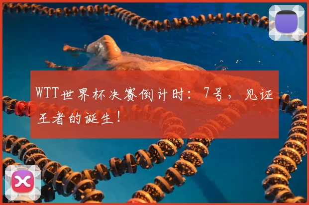 WTT世界杯决赛倒计时:7号,见证王者的诞生!