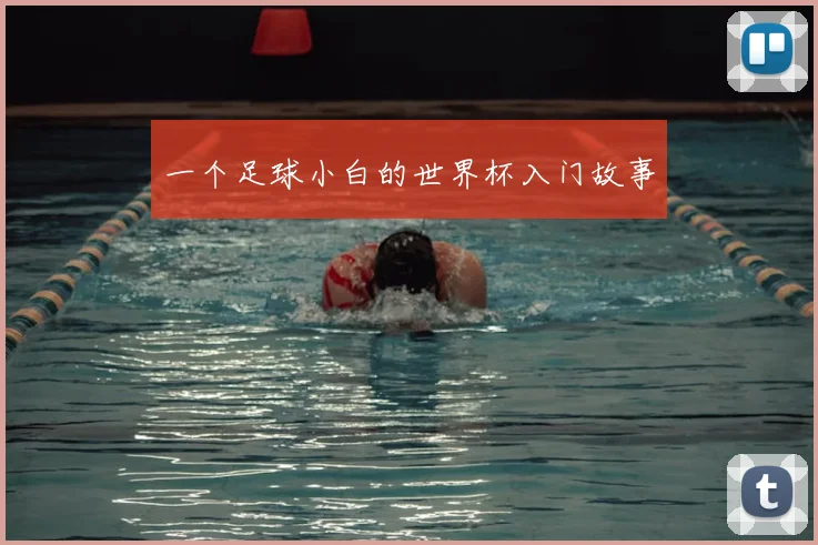 一个足球小白的世界杯入门故事