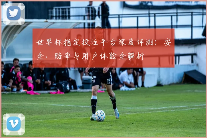 世界杯指定投注平台深度评测：安全、赔率与用户体验全解析